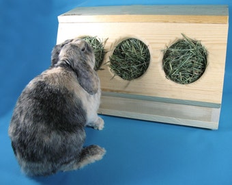 SaveABunny's Three Hole Hay Saver Box