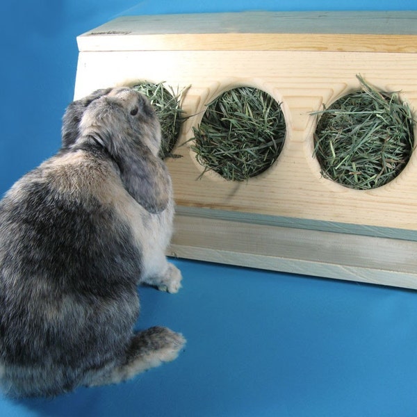 SaveABunny's Three Hole Hay Saver Box