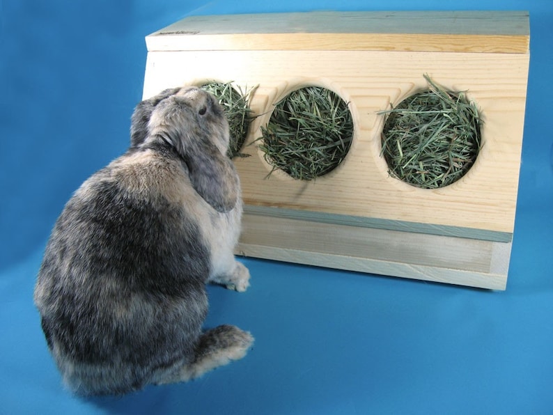 SaveABunny's Three Hole Hay Saver Box image 0