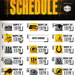 Pittsburgh Steelers 2025 Schedule Poster 11 x 17&quot;