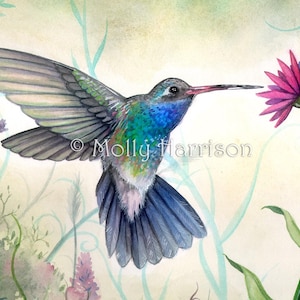Hummingbird and Flower - Sweet Nectar - Wildlife Watercolor Fine Art Print - Molly Harrison - bird, birds hummingbirds