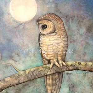 Northern Spotted Owl -  Wildlife Watercolor Archival Print by Molly Harrison - Owls, Watercolor