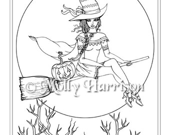 Witch Riding Broom | Etsy