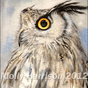 Owl Print - Eagle Owl Wildlife Watercolor Fine Art Print by Molly Harrison - Archival Print, Owls, Artwork, Realism, Watercolour