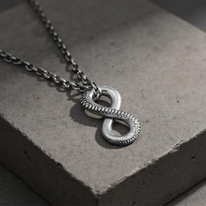 Collar con colgante de serpiente infinita de plata para hombre y mujer, joyería gótica de serpiente Ouroboros, accesorio simbólico de cadena de plata, regalo para él.