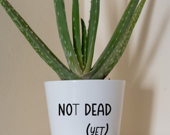 Not dead yet , Plant pot,  indoor planter, funny gift, gift for friend, funny gift, gift for woman, novelty present, funny pot, joke gift,