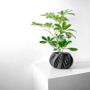 flower pot, with drainage tray and stand, unique home decor