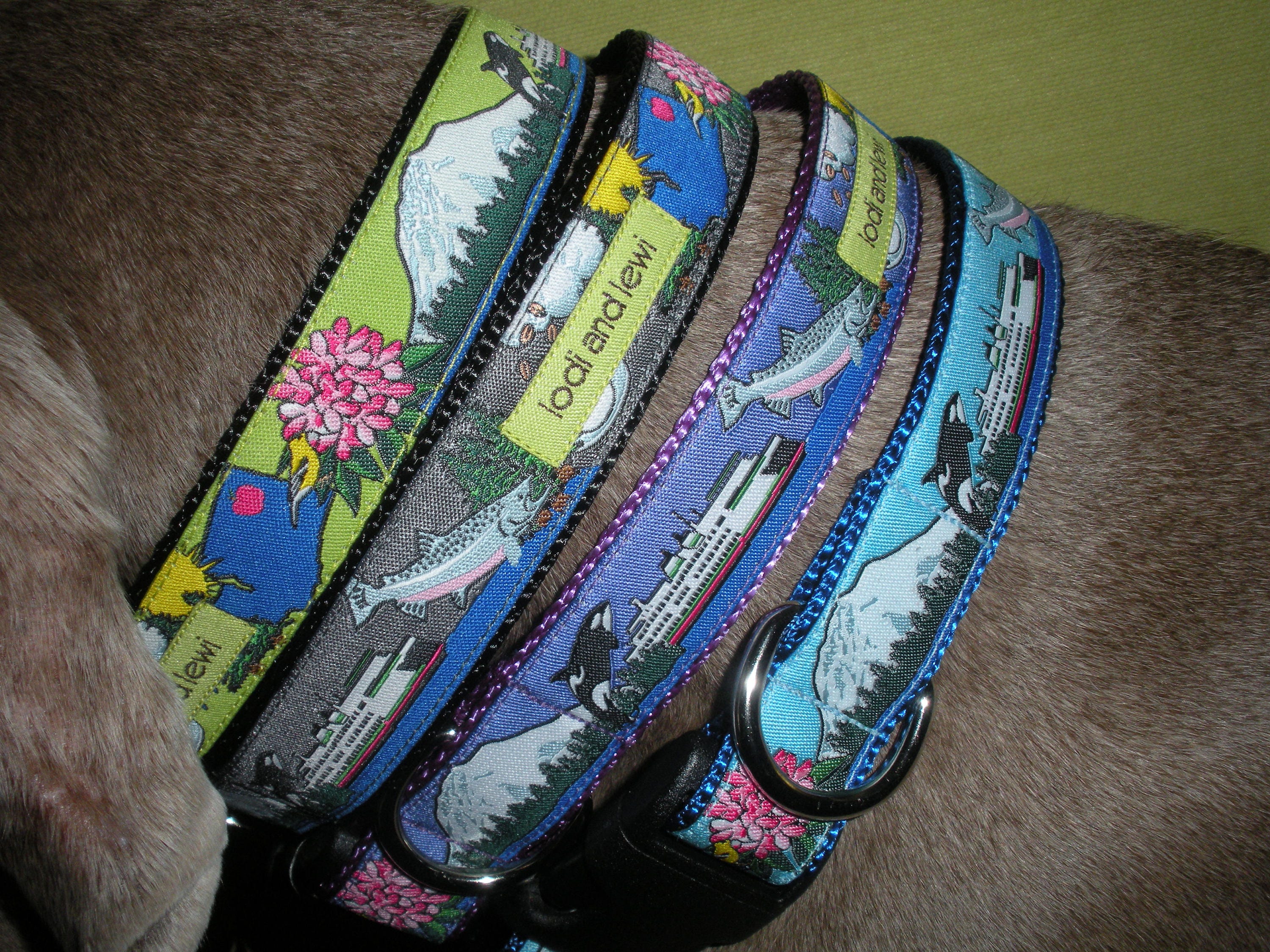 Evergreen Collar or Leash