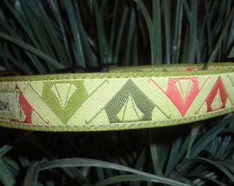 Tent Time Collar or Leash