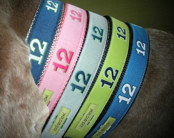 12th Dog Collar or Leash