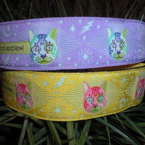 Cosmic Cat 1 1/2 WIDE Collar image 1