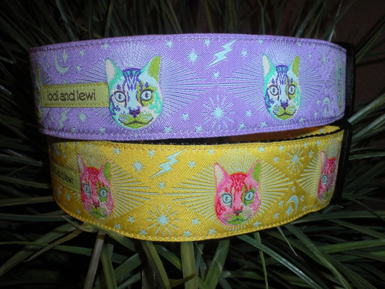 Cosmic Cat 1 1/2 WIDE Collar image 1