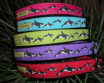 Orca Collar or Leash