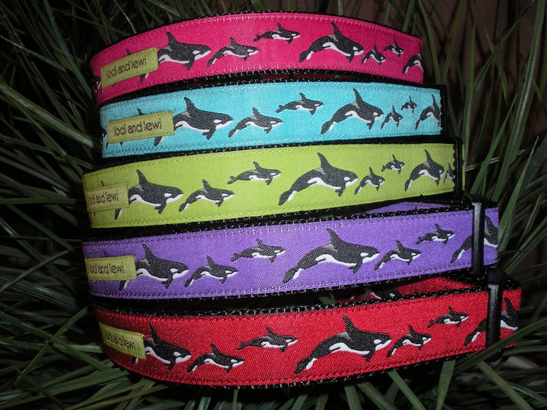 Orca Collar or Leash image 1