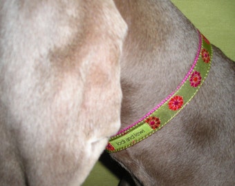 Dahlia Collar or Leash in Chartreuse