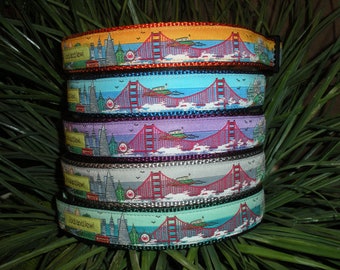 San Francisco Collar or Leash