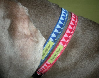 Triangulate Collar or Leash