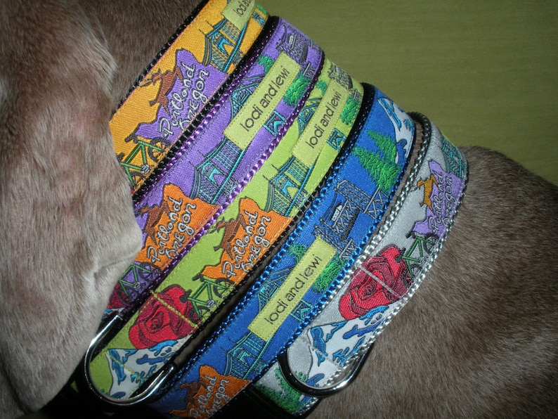 Rose City Collar or Leash image 4