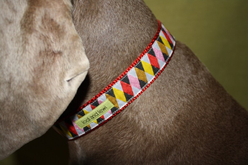 Regatta Collar or Leash in Red and Black SALE