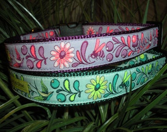 Primavera Collar or Leash