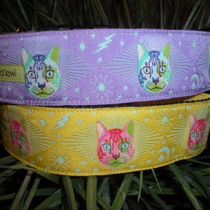 Cosmic Cat 1 1/2 WIDE Collar image 4