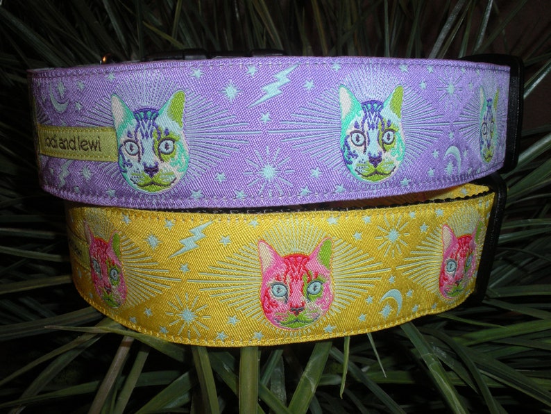 Cosmic Cat 1 1/2 WIDE Collar image 4