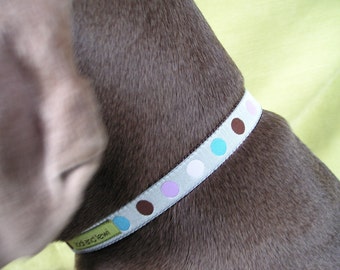 Root Beer Float Collar or Leash in Aqua Dots