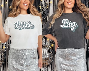 Comfort Colors Big Little Reveal Shirt, Sorority Gift