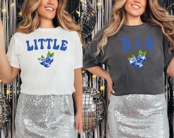 Comfort Colors Big Little Sorority Reveal Shirt