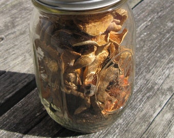 Wild Foraged Minnesota Dried Funnel Chanterelle Puffballs and Wood Mushrooms