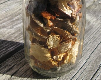 Wild Foraged Minnesota Dried Autumn Pestle Oyster and Russula Mushroom Mix