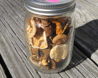 Wild Foraged Minnesota Dried Autumn Hearty Milky Wood Russula Mushroom Mix