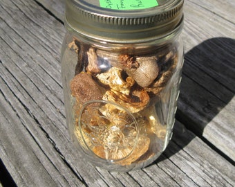 Wild Foraged Minnesota Dried Autumn Bolete Oyster and Russula Mushroom Mix