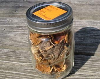 Wild Foraged Minnesota Miller Wood & Honey Mushroom Mix