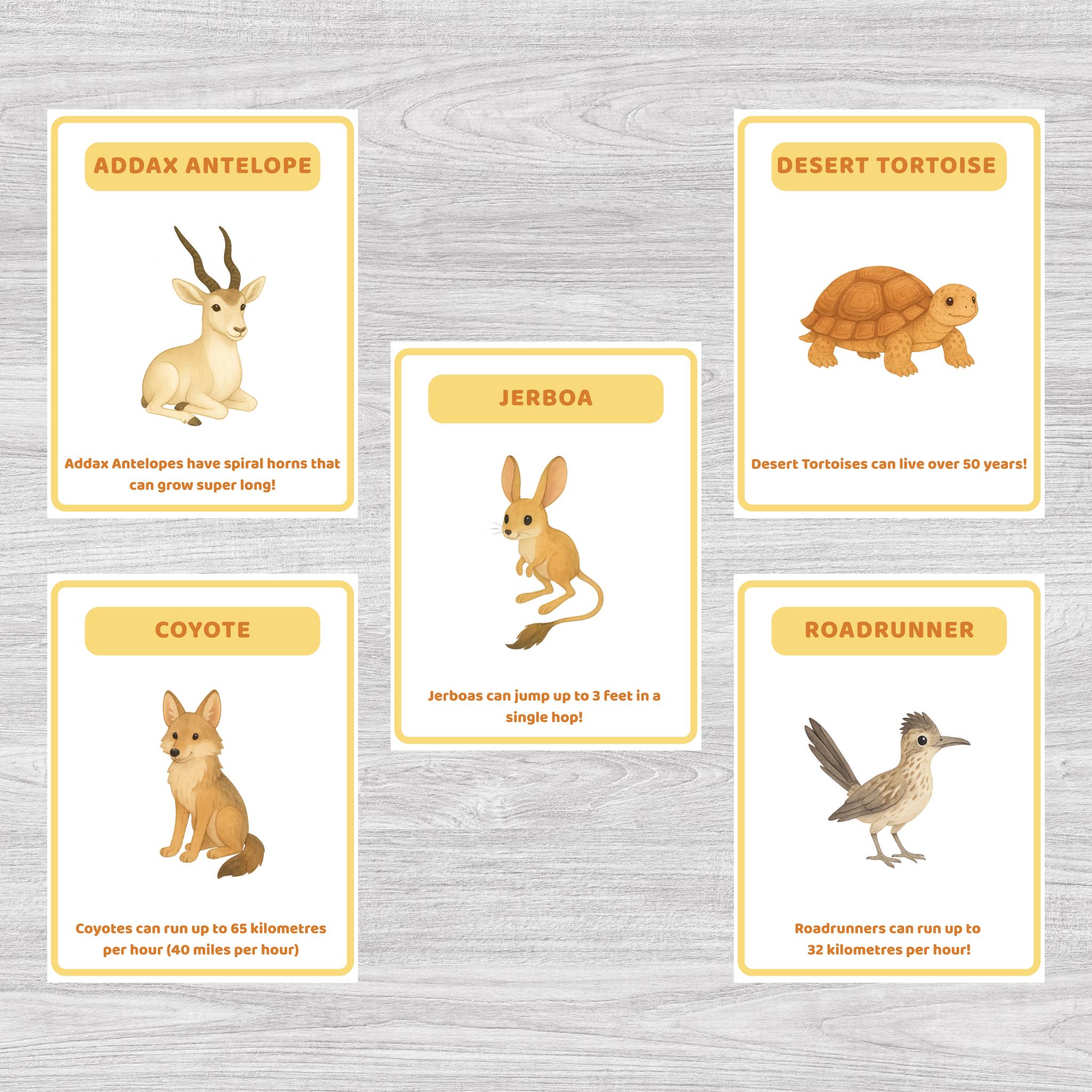 Desert Animal Flashcards – Educational Cards for Kids (PDF) - Etsy