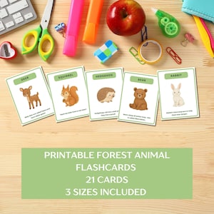 Tarjetas didácticas de animales del bosque: recurso educativo imprimible / 21 tarjetas PDF en 3 tamaños / Actividad para la educación en casa y en el aula