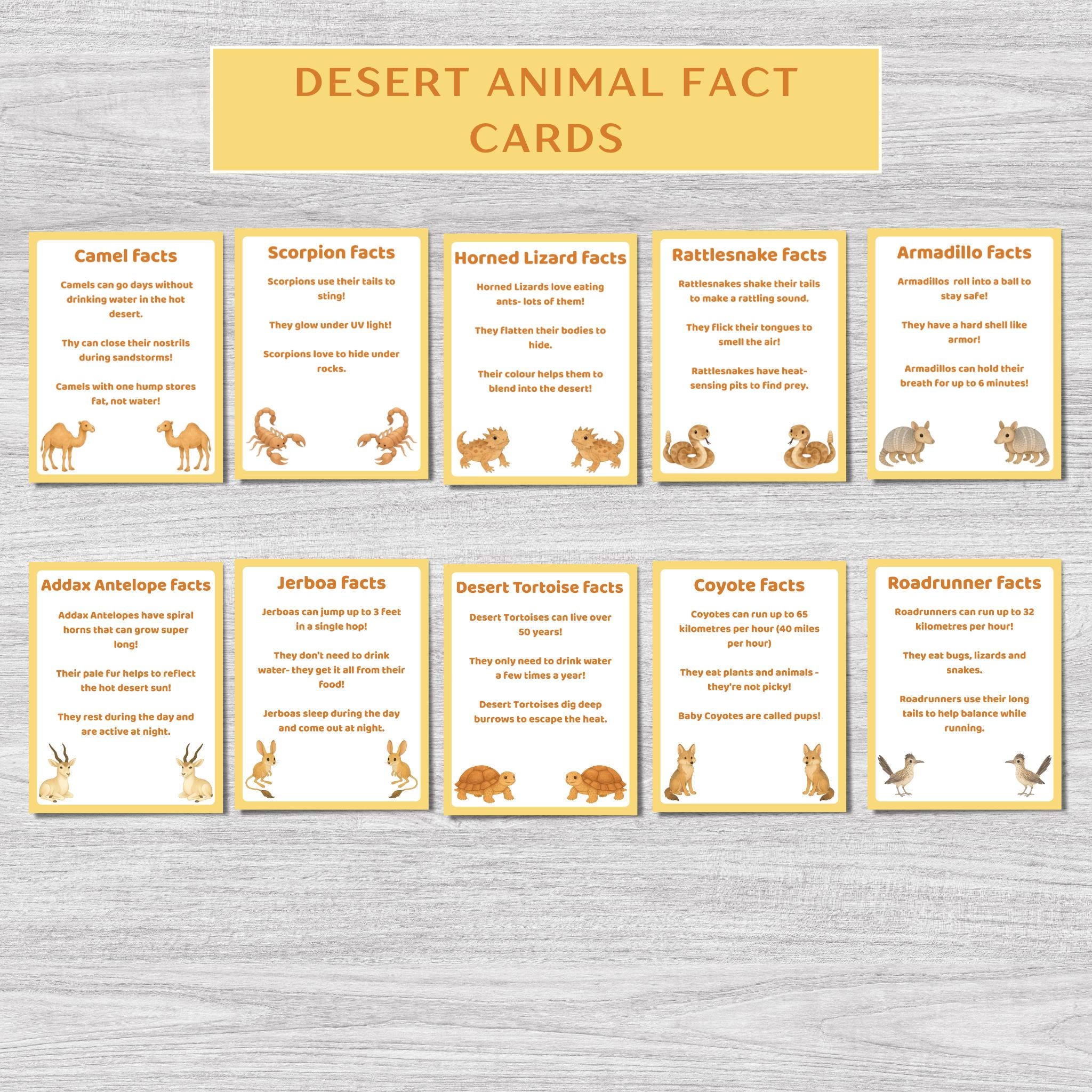 Desert Animal Flashcards – Educational Cards for Kids (PDF) - Etsy