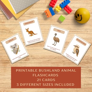 Afdrukbare flashcards bushland habitatdieren – educatieve kaarten Australische dieren in het wild – hulpmiddel voor kleuters, klaslokalen, thuisonderwijs