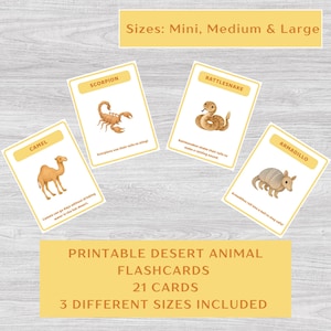 Tarjetas imprimibles de animales del hábitat del desierto: 21 tarjetas, 3 tamaños, PDF educativo para niños, fichas con datos sobre animales del desierto