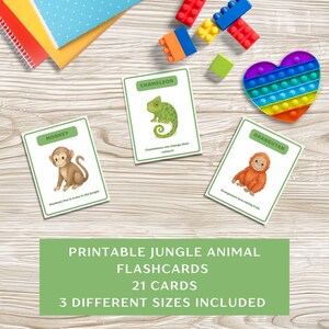 Flashcards de animais da selva para imprimir – PDF educacional para crianças, pré-escola, educação domiciliar, fonoaudiologia, recurso de aprendizagem precoce