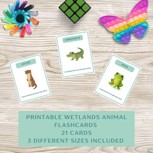 Printable Wetlands Habitat Animal Flashcards – Preschool Educational Wildlife Cards – Homeschool, Classroom Resource