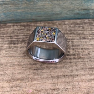 The Primeval - Men&#39;s Signet Ring - Titanium Men&#39;s Ring with Gibeon Meteorite, Dinosaur Bone