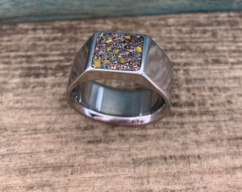 The Primeval - Men's Signet Ring - Titanium Men's Ring with Gibeon Meteorite, Dinosaur Bone