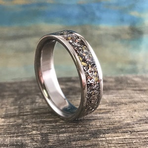 Meteorite and Dinosaur Bone Ring- Junk Mix- Male Engagement Ring- Men's Wedding Band