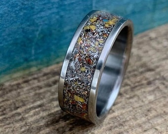 Meteorite and Dinosaur Bone  Ring - Junk Mix - Male Engagement Ring - Men's Authentic Meteorite Wedding Band