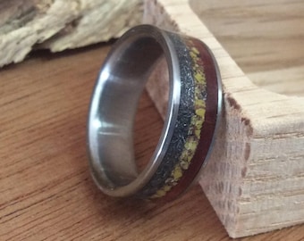 Meteorite Ring - Titanium with Dinosaur Bone and Ironwood Inlays