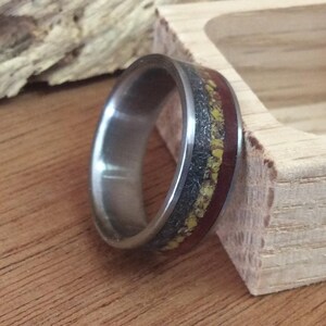 Meteorite Ring - Titanium with Dinosaur Bone and Ironwood Inlays image 1