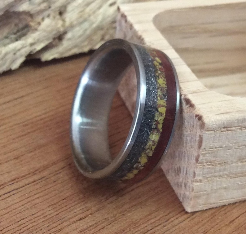 Meteorite Ring - Titanium with Dinosaur Bone and Ironwood Inlays image 1
