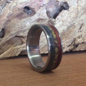 Meteorite Ring - Titanium with Dinosaur Bone and Ironwood Inlays image 5