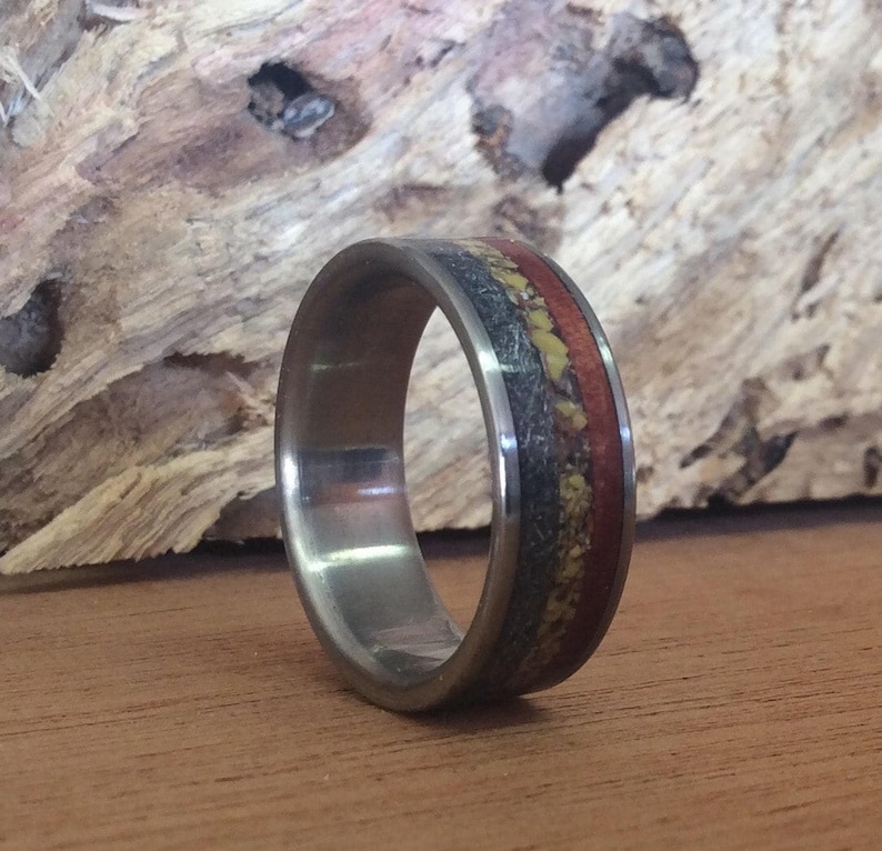 Meteorite Ring - Titanium with Dinosaur Bone and Ironwood Inlays image 5